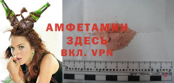 индика Алексин