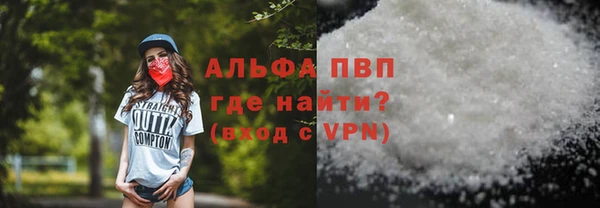 индика Алексин