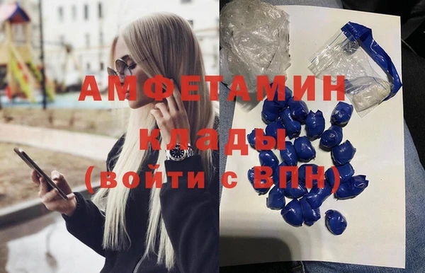 индика Алексин