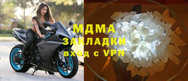 индика Алексин