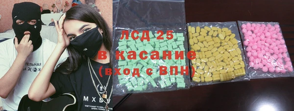индика Алексин
